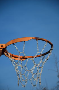 NBA球员体能训练计划设计与效果评估，nba球员的体能训练