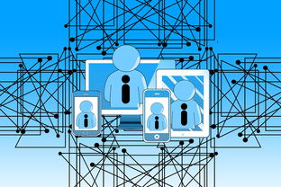 中国青少年篮球发展政策实施与推广策略，青少年篮球发展现状及对策研究